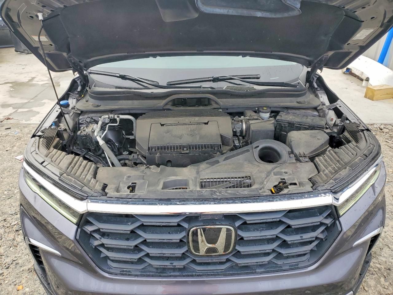 2025 Honda Pilot exl