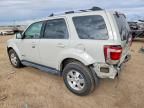 2008 Ford Escape Limited
