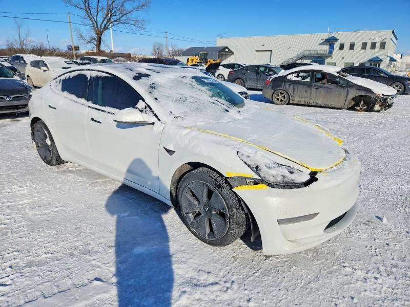 2021 Tesla Model 3