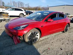 2023 Tesla Model 3 for sale in Spartanburg, SC
