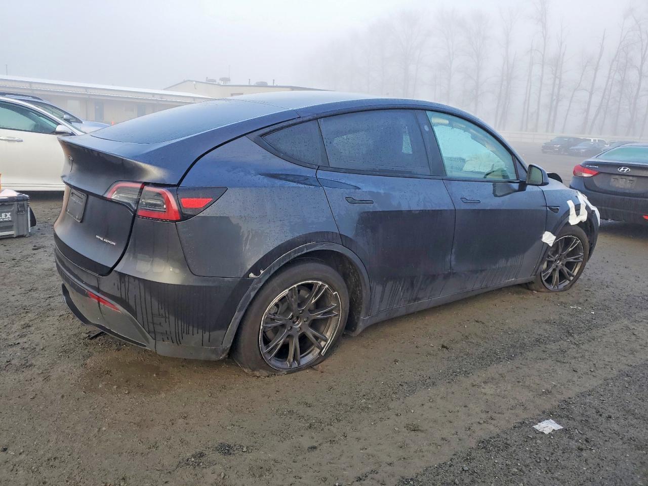 2025 Tesla Model y