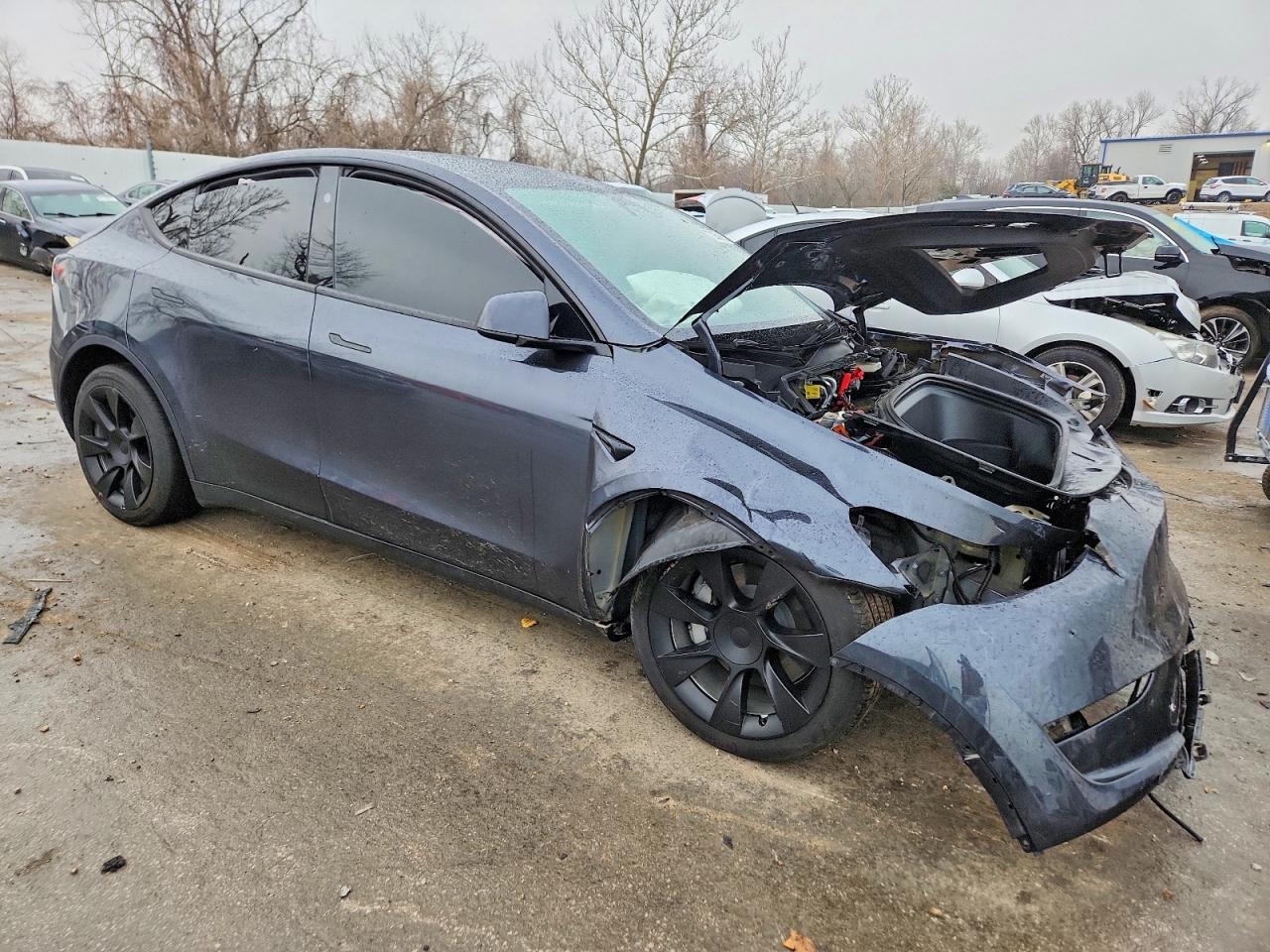 2024 Tesla Model y