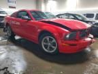 2005 Ford Mustang gt