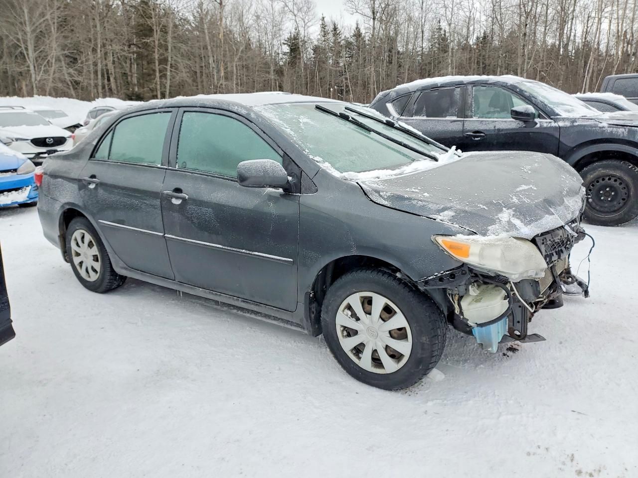 2011 Toyota Corolla Base