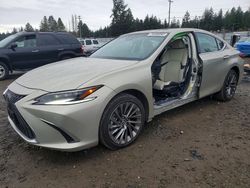 2025 Lexus Es 300h Base for sale in Graham, WA