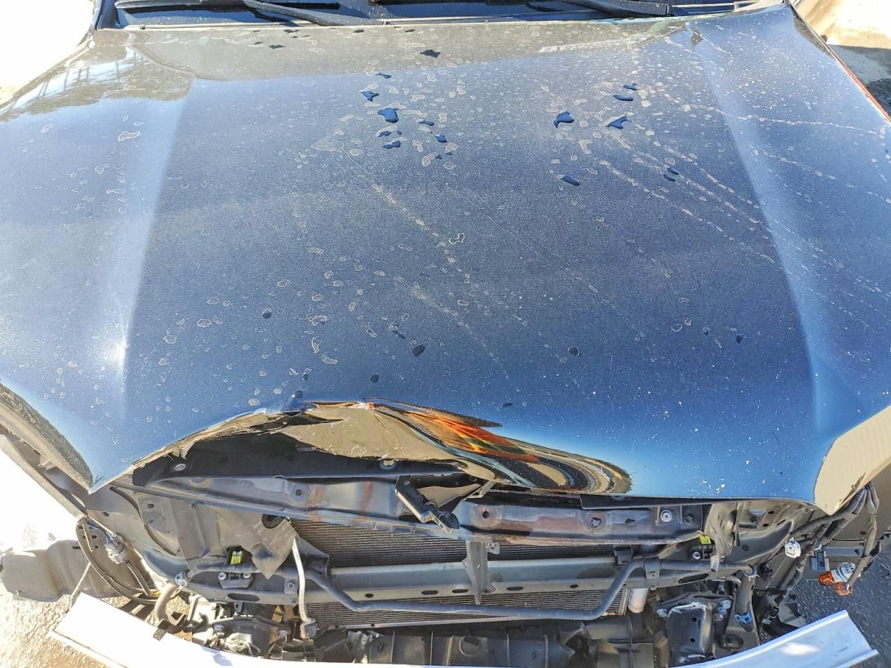 2019 Toyota 4runner Sr5/sr5 Premium