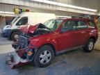 2009 Ford Escape xls