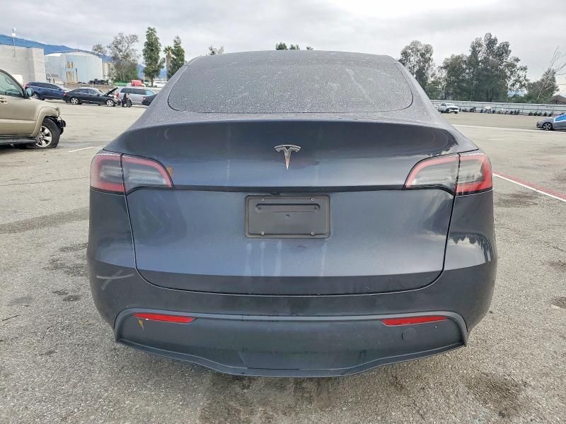 2025 Tesla Model y