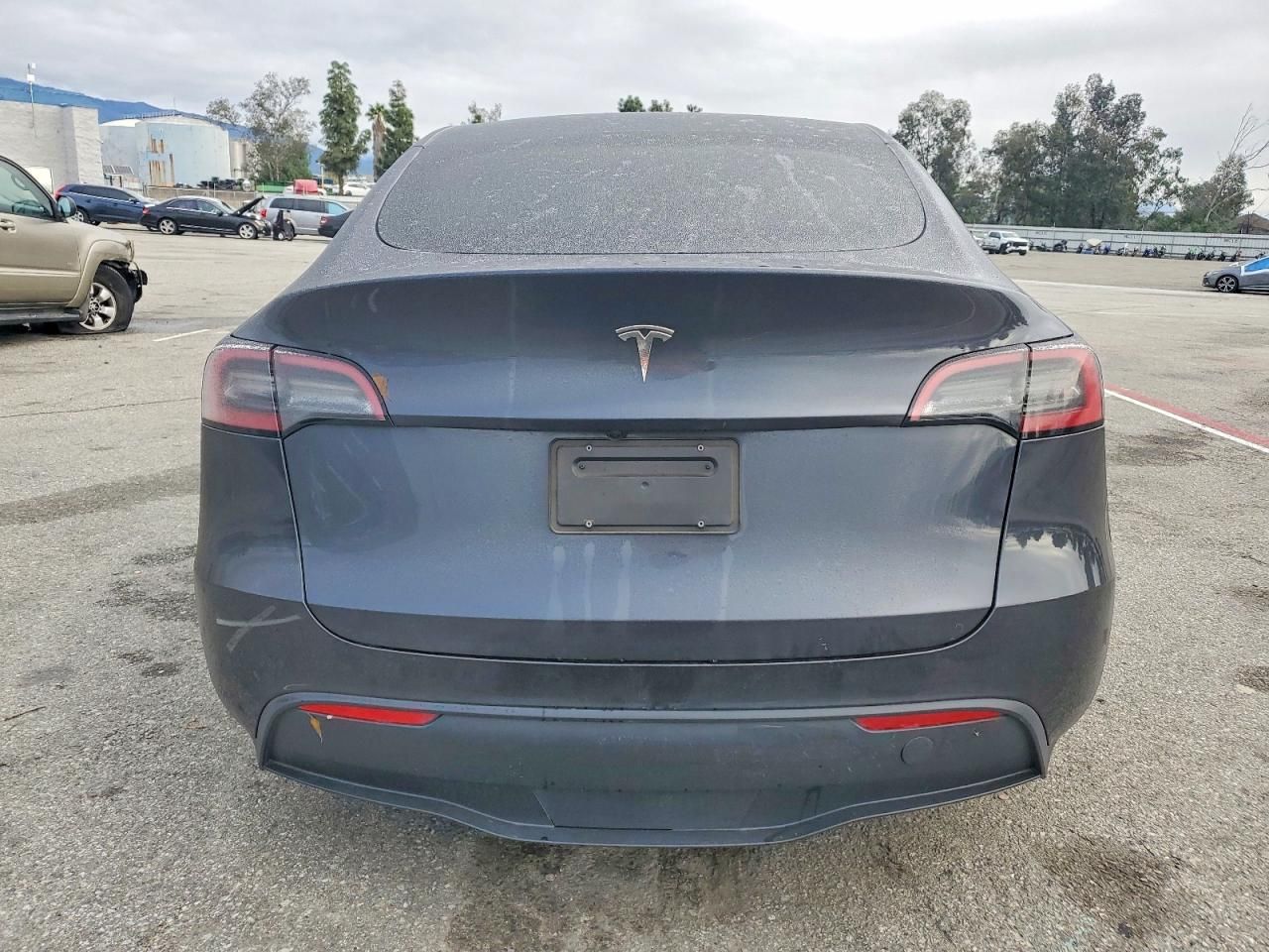 2025 Tesla Model y