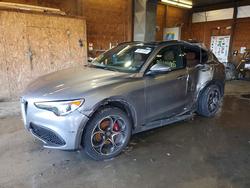 Alfa Romeo Vehiculos salvage en venta: 2019 Alfa Romeo Stelvio ti