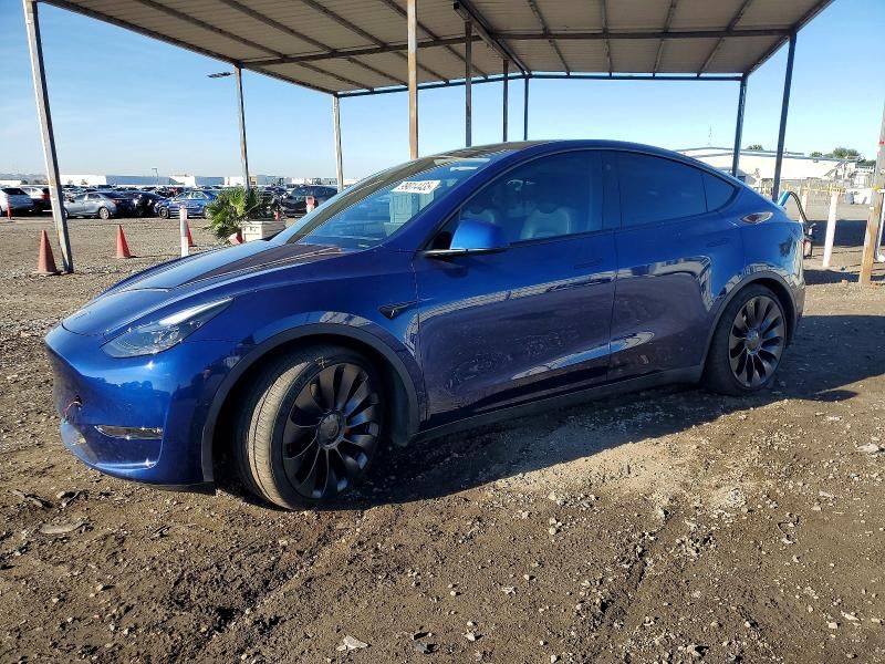 2022 Tesla Model y