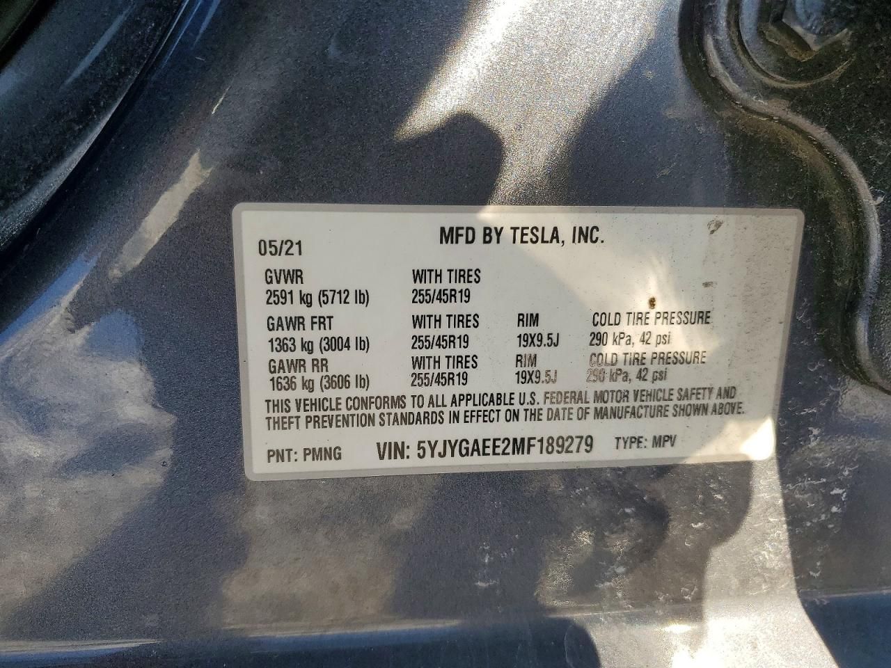 2021 Tesla Model y
