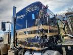 2019 Peterbilt 389