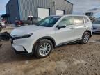2025 Honda Cr-v exl