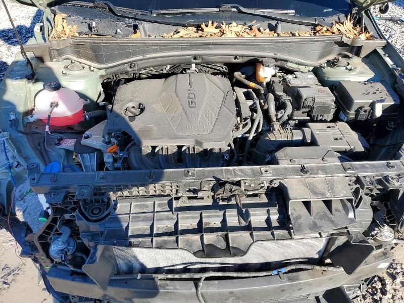 2024 KIA Sportage X-pro