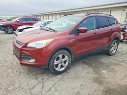 Ford salvage cars for sale: 2014 Ford Escape se
