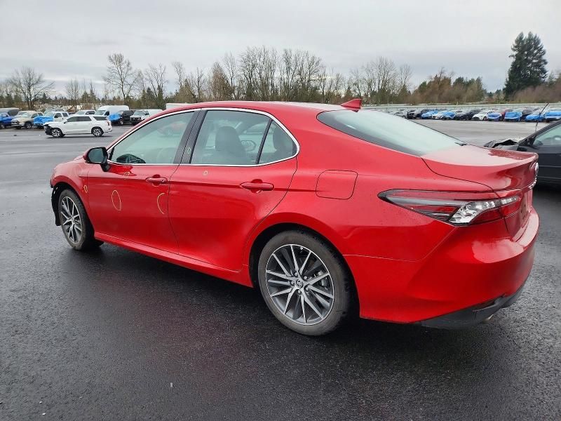 2024 Toyota Camry xle