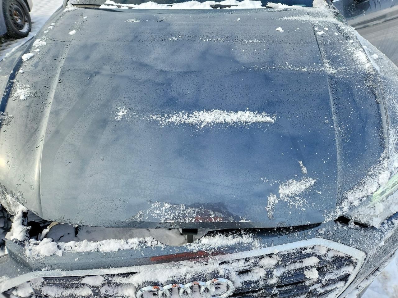 2021 Audi Q5 Progressiv