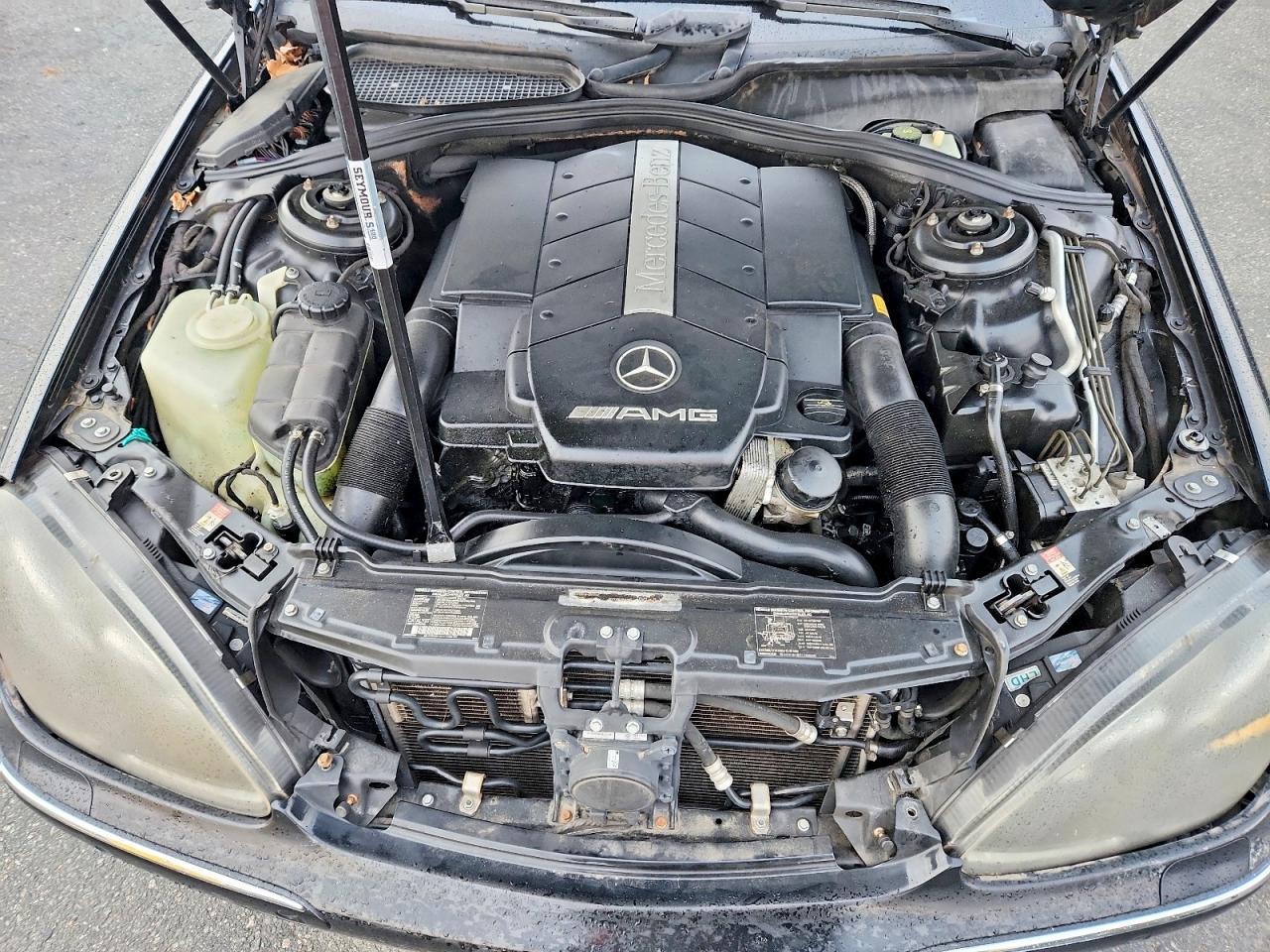 2002 Mercedes-Benz S 55 amg