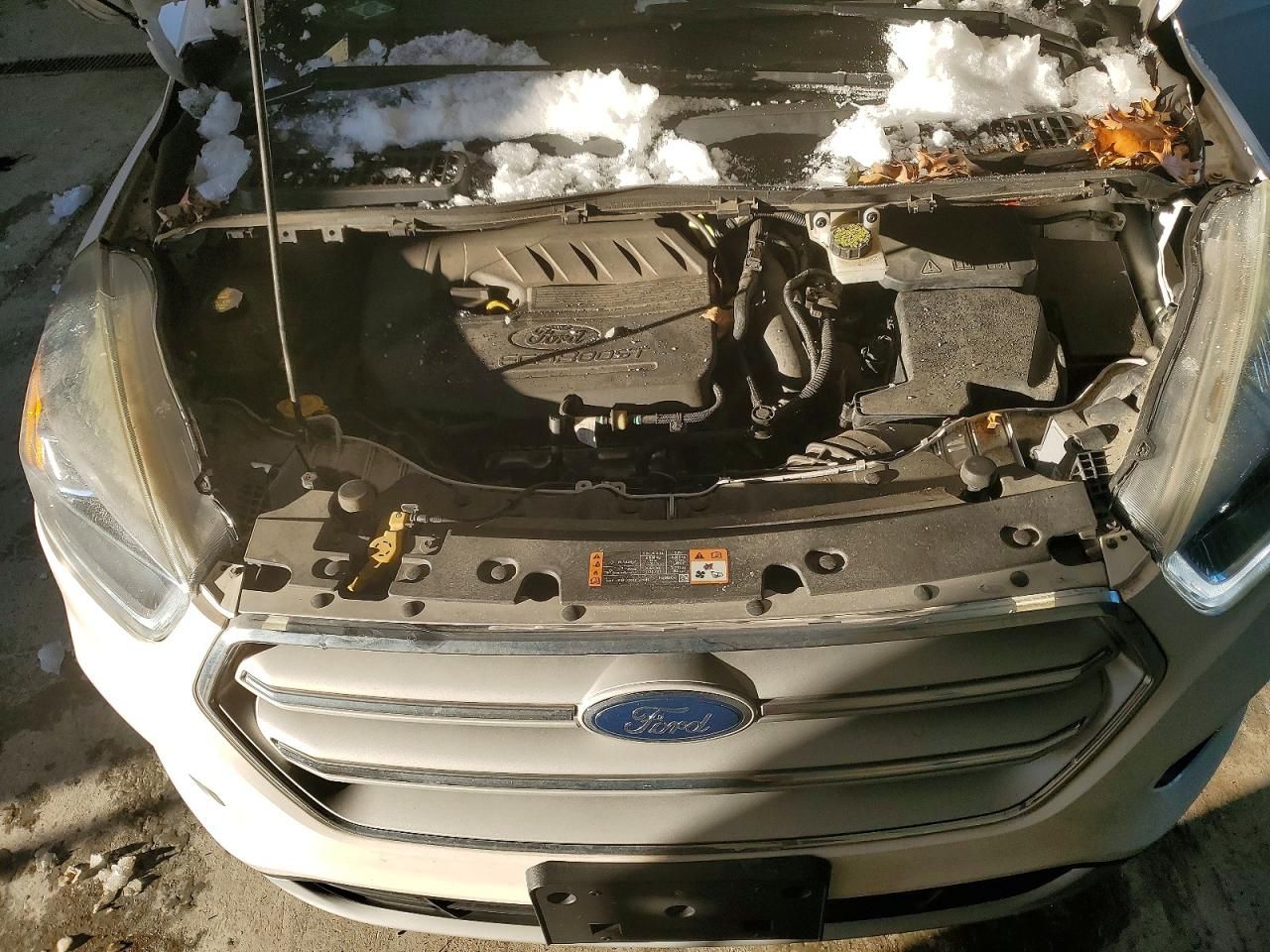 2018 Ford Escape sel