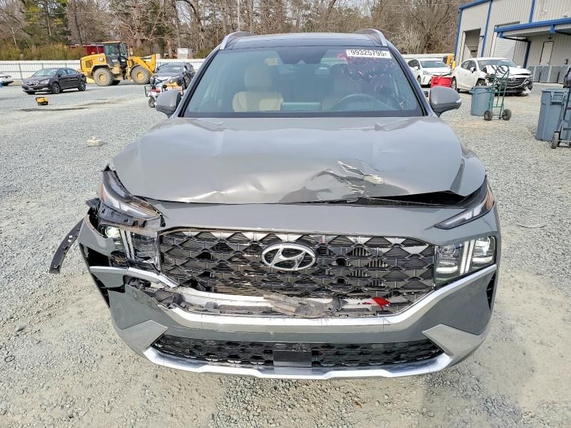 2023 Hyundai Santa fe Calligraphy