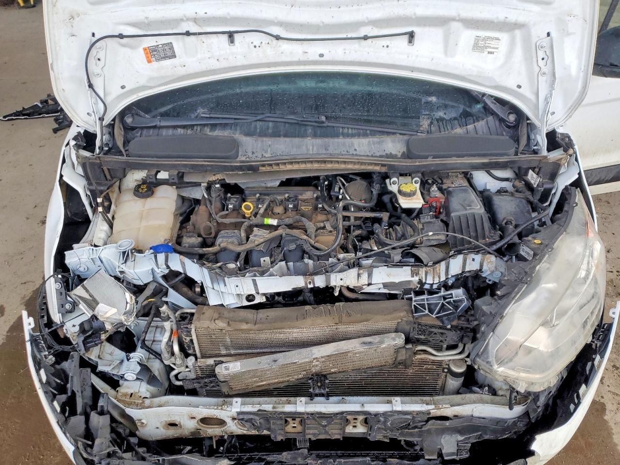 2019 Ford Transit Connect xl