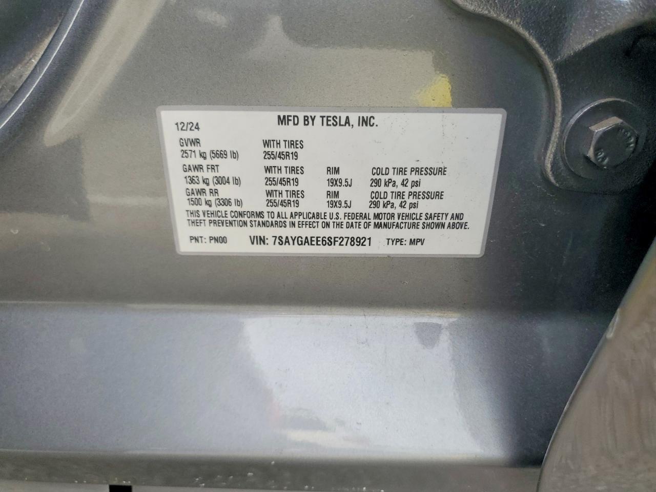 2025 Tesla Model y