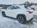 2021 Lexus Ux 250h