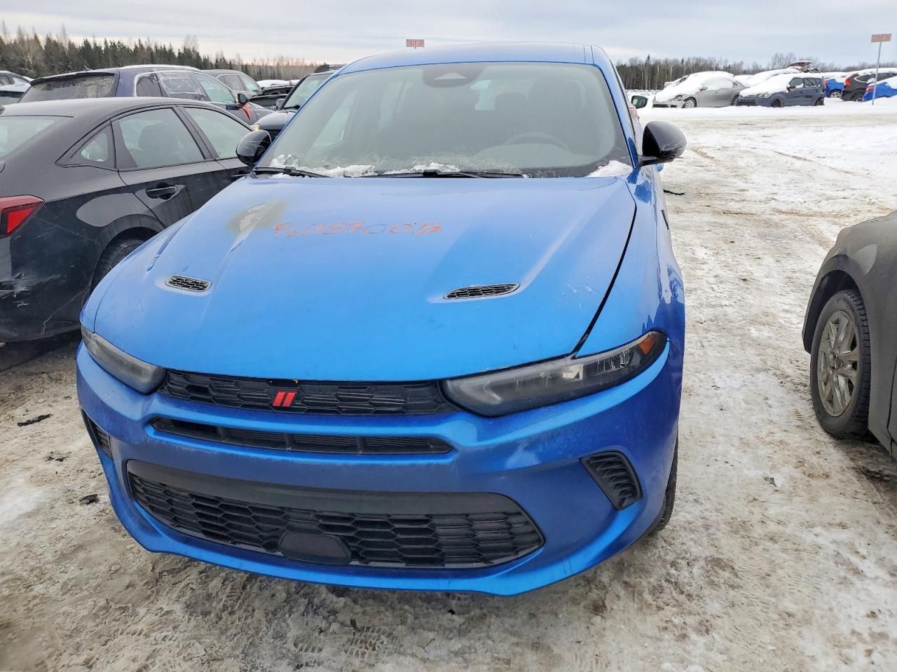 2024 Dodge Hornet gt