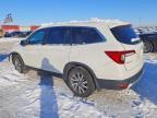 2020 Honda Pilot exl