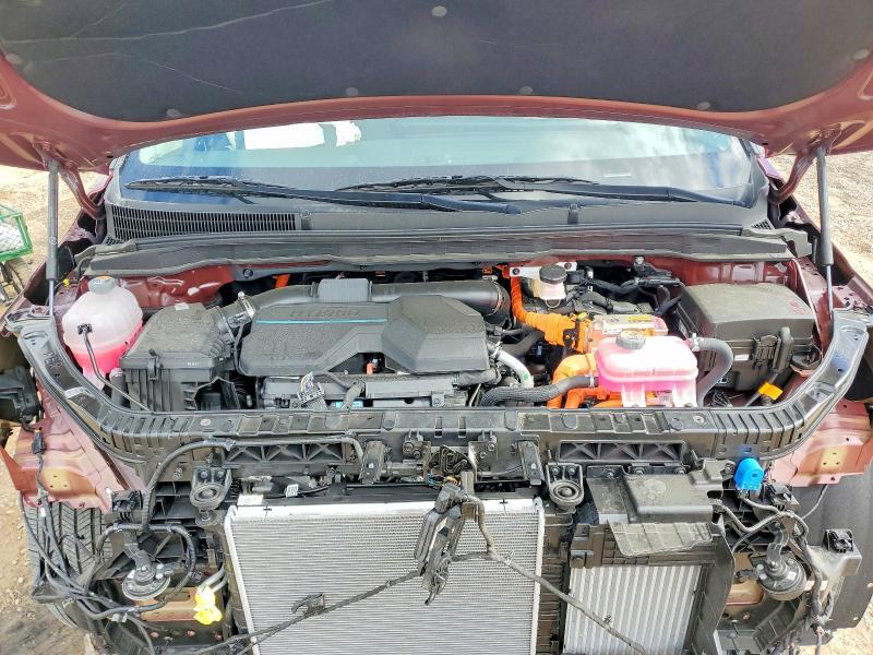 2025 KIA Carnival Hybrid ex