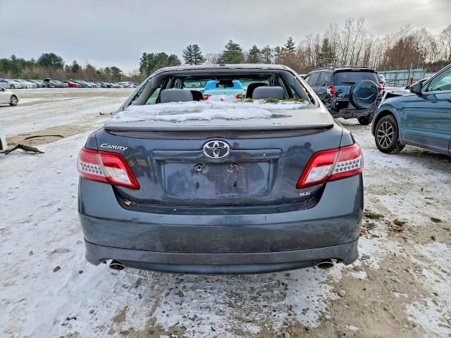 2010 Toyota Camry Base