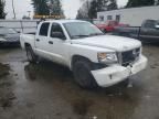 2008 Dodge Dakota Quad slt