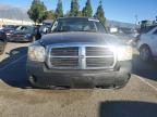 2007 Dodge Dakota Quattro