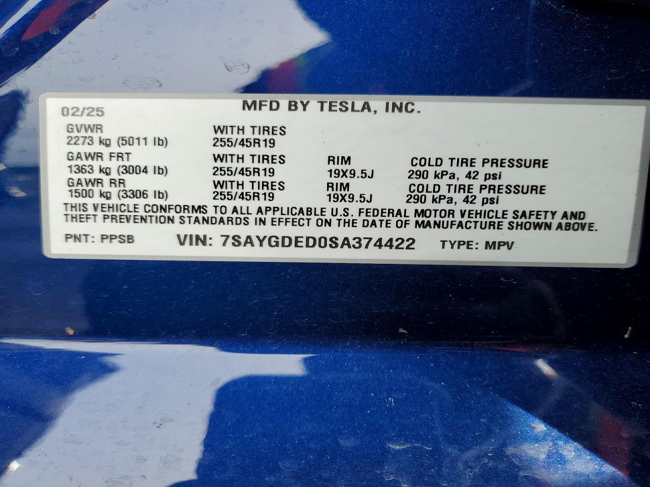 2025 Tesla Model y