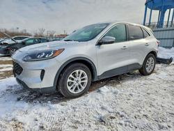 Ford Escape salvage cars for sale: 2020 Ford Escape se