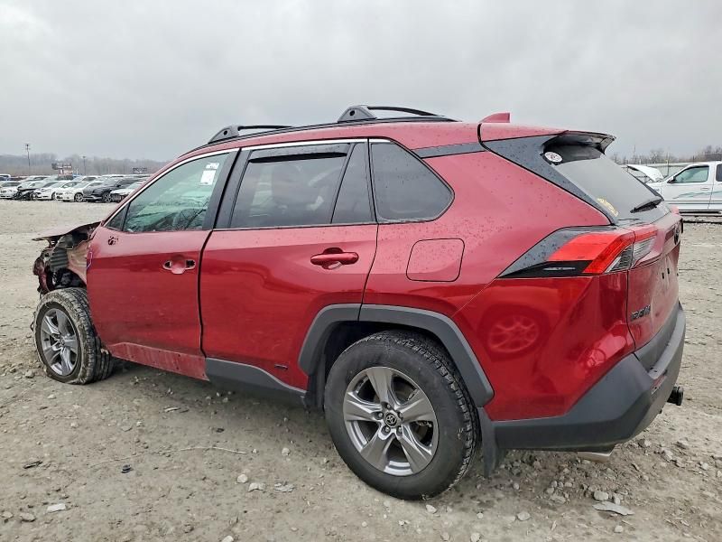 2024 Toyota Rav4 xle