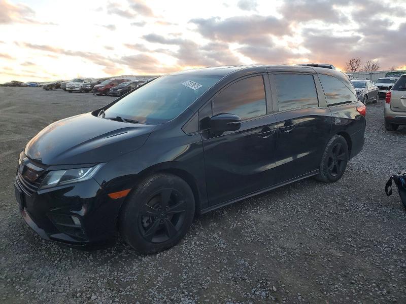 2019 Honda Odyssey exl