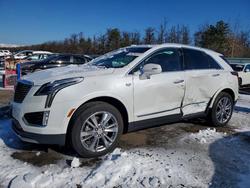 Cadillac salvage cars for sale: 2024 Cadillac XT5 Premium Luxury