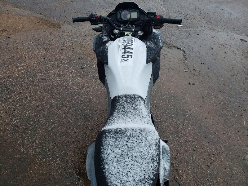 2020 Kawasaki Kle300 b