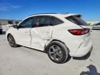 2023 Ford Escape st Line