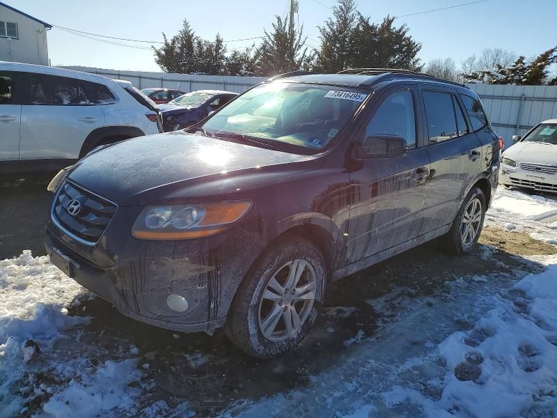 2010 Hyundai Santa fe se
