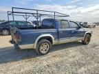 2002 Dodge Dakota Quad slt