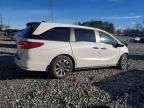 2024 Honda Odyssey exl