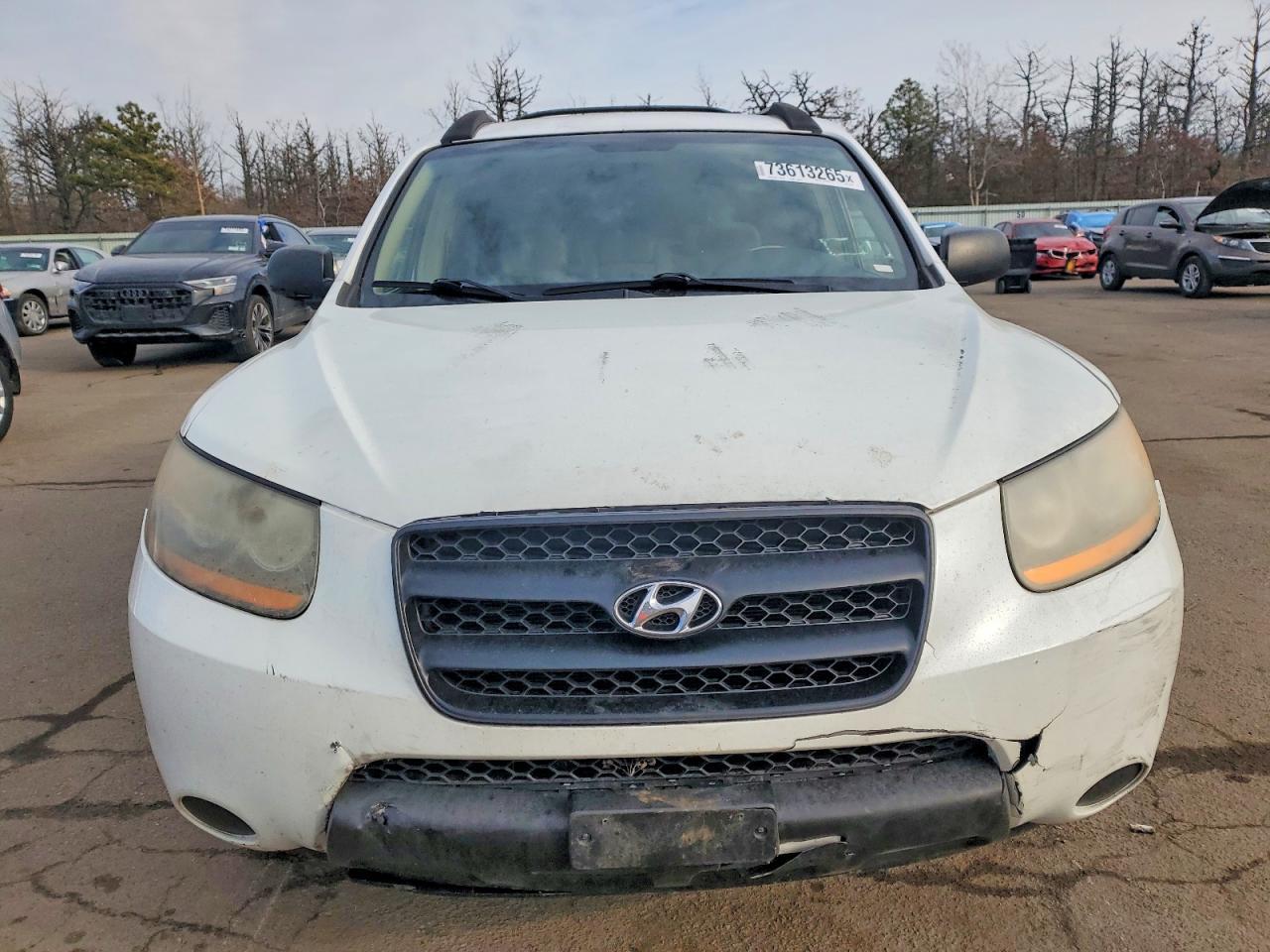2009 Hyundai Santa fe gls