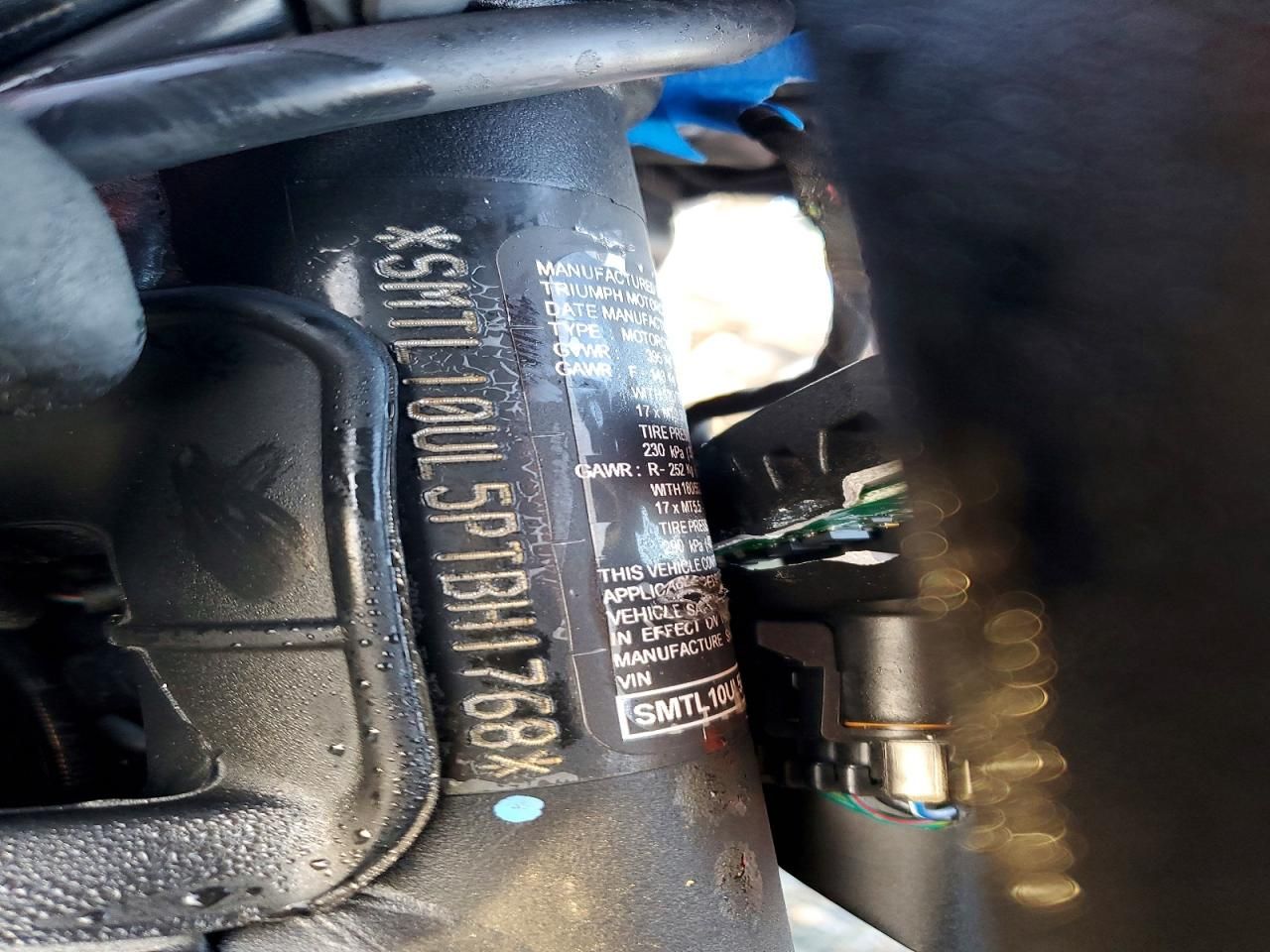 2023 Triumph Trident 660