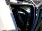 2013 Chevrolet Express 2500 Delivery van