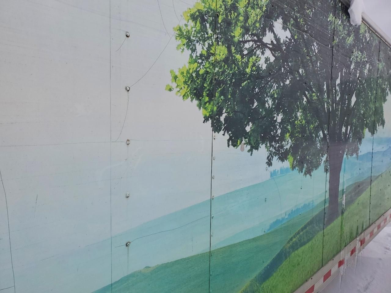 2010 Wells Cargo Enclosed Cargo Trailer