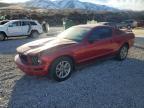 2005 Ford Mustang