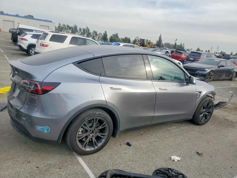 2025 Tesla Model y